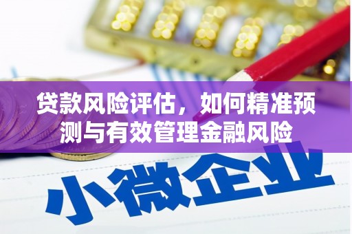 通霄贷款风险评估，如何精准预测与有效管理金融风险