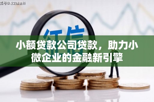 通霄小额贷款公司贷款，助力小微企业的金融新引擎