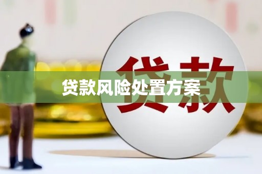 通霄贷款风险处置方案