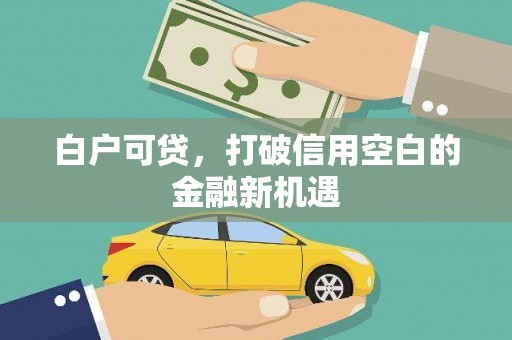 通霄白户可贷，打破信用空白的金融新机遇