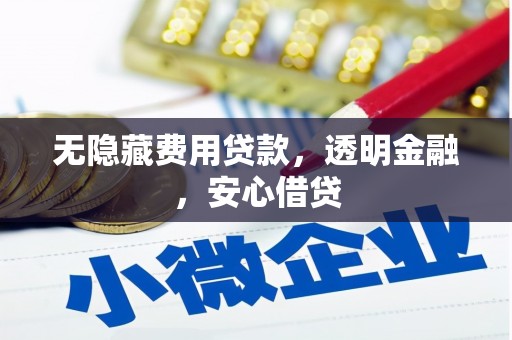 通霄无隐藏费用贷款，透明金融，安心借贷