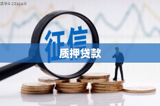 通霄质押贷款