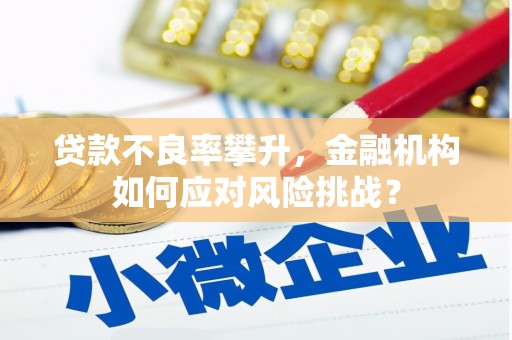 通霄贷款不良率攀升，金融机构如何应对风险挑战？