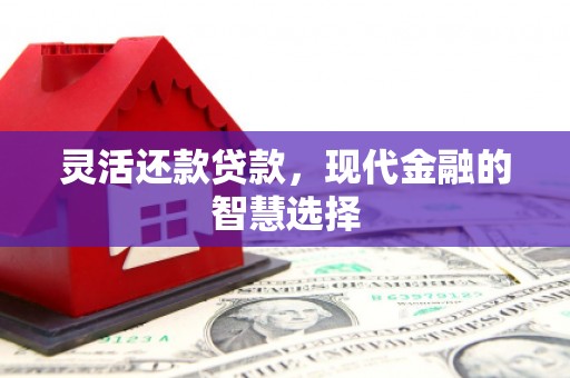 通霄灵活还款贷款，现代金融的智慧选择