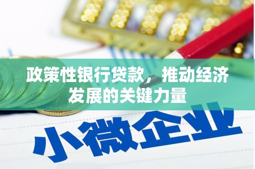 通霄政策性银行贷款，推动经济发展的关键力量
