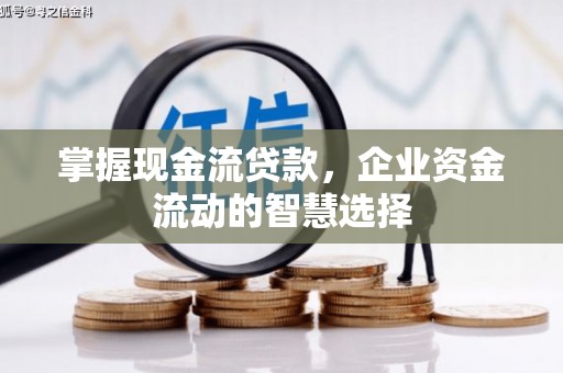 通霄掌握现金流贷款，企业资金流动的智慧选择