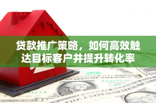 通霄贷款推广策略，如何高效触达目标客户并提升转化率