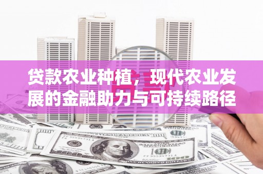 通霄贷款农业种植，现代农业发展的金融助力与可持续路径