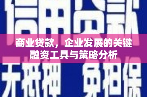 通霄商业贷款，企业发展的关键融资工具与策略分析