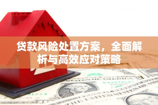 通霄贷款风险处置方案，全面解析与高效应对策略
