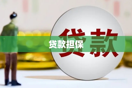 通霄贷款担保