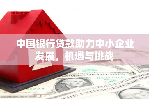 通霄中国银行贷款助力中小企业发展，机遇与挑战