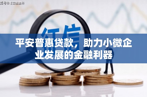 通霄平安普惠贷款，助力小微企业发展的金融利器