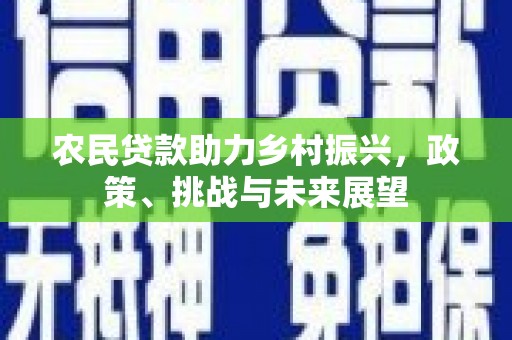 通霄农民贷款助力乡村振兴，政策、挑战与未来展望