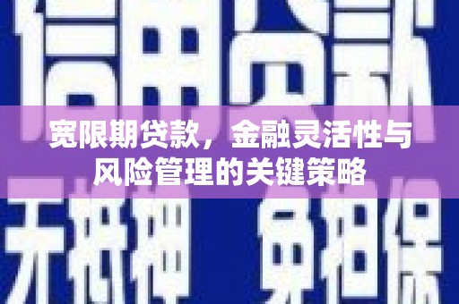 通霄宽限期贷款，金融灵活性与风险管理的关键策略
