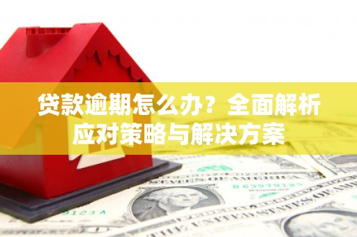 通霄贷款逾期怎么办？全面解析应对策略与解决方案