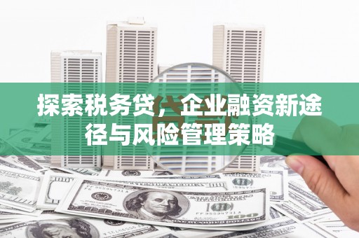 通霄探索税务贷，企业融资新途径与风险管理策略