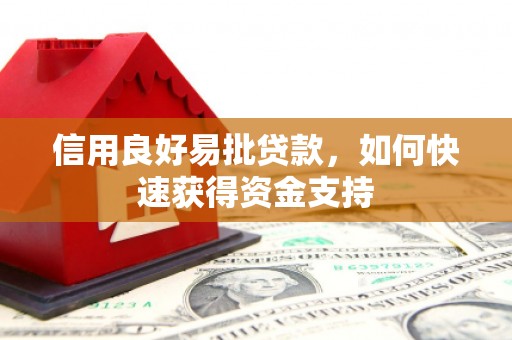 通霄信用良好易批贷款，如何快速获得资金支持