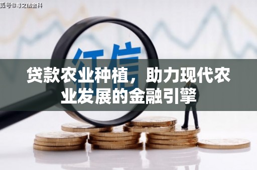 通霄贷款农业种植，助力现代农业发展的金融引擎