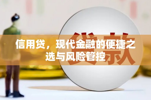 通霄信用贷，现代金融的便捷之选与风险管控