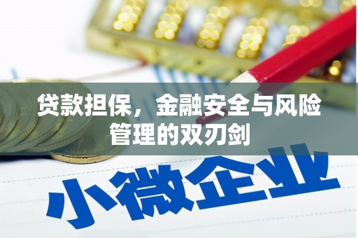 通霄贷款担保，金融安全与风险管理的双刃剑