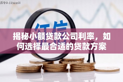通霄揭秘小额贷款公司利率，如何选择最合适的贷款方案