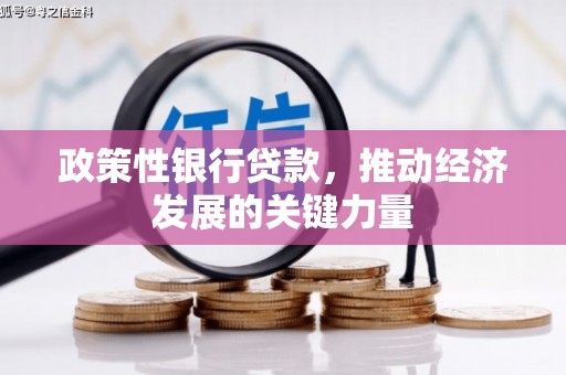 通霄政策性银行贷款，推动经济发展的关键力量