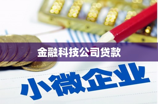 通霄金融科技公司贷款