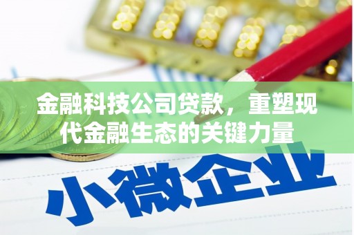 通霄金融科技公司贷款，重塑现代金融生态的关键力量