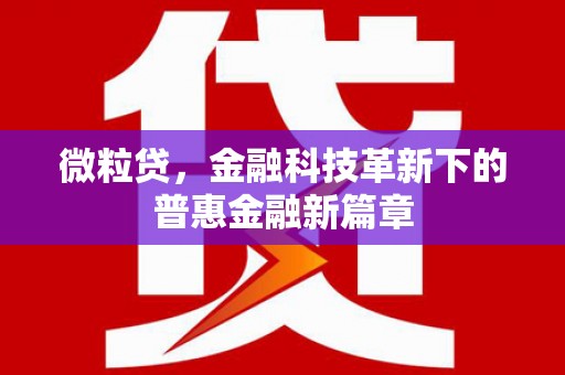 通霄微粒贷，金融科技革新下的普惠金融新篇章