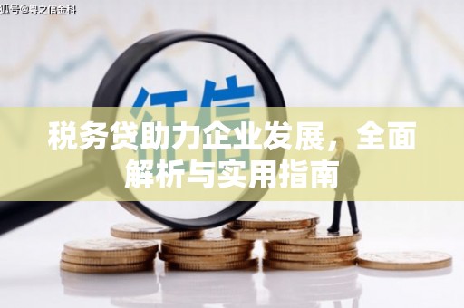 通霄税务贷助力企业发展，全面解析与实用指南