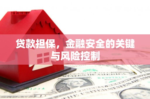 通霄贷款担保，金融安全的关键与风险控制