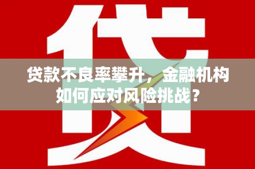 通霄贷款不良率攀升，金融机构如何应对风险挑战？