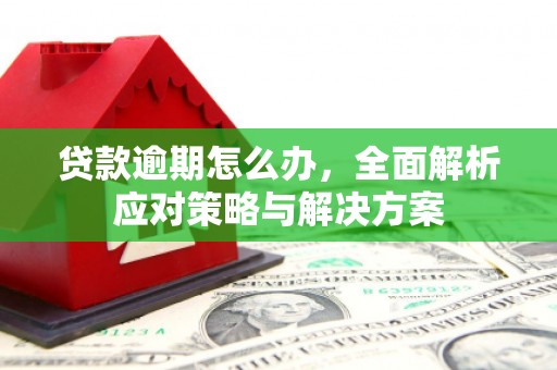 通霄贷款逾期怎么办，全面解析应对策略与解决方案